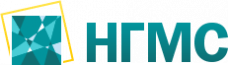 НефтеГазМетрологи Сервис